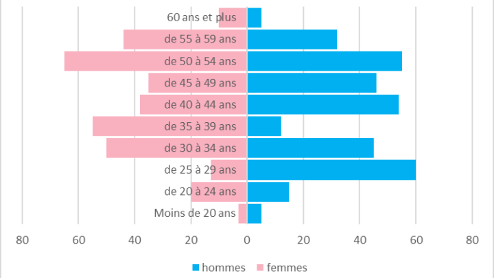 pyramide des âges avec EXCEL